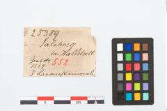 Etikett zu Bernsteinperlenkette (NHMW-PRAE-025389)